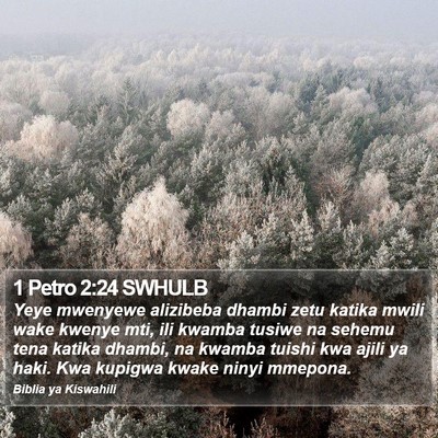 1 Petro 2:24 SWHULB Bible Verse Image