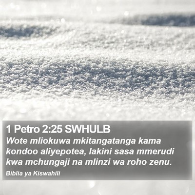 1 Petro 2:25 SWHULB Bible Verse Image