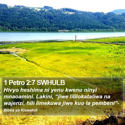 1 Petro 2:7 SWHULB Bible Verse Image