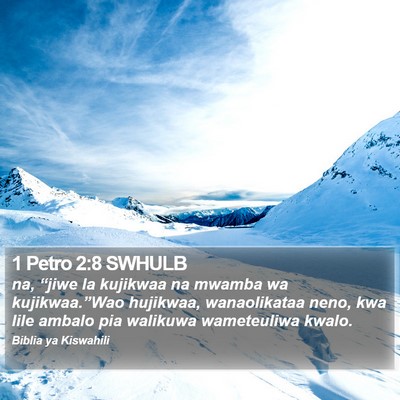1 Petro 2:8 SWHULB Bible Verse Image