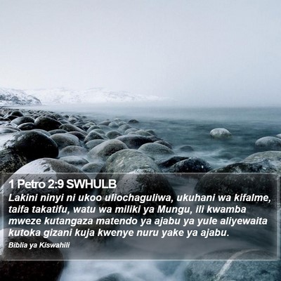 1 Petro 2:9 SWHULB Bible Verse Image