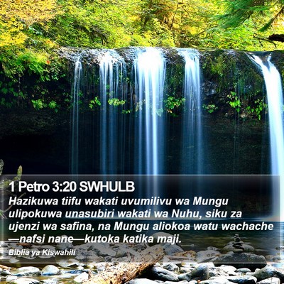1 Petro 3:20 SWHULB Bible Verse Image