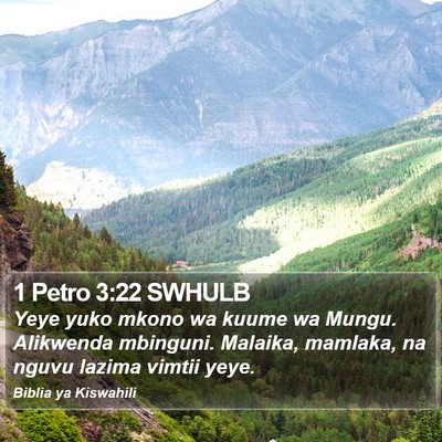 1 Petro 3:22 SWHULB Bible Verse Image