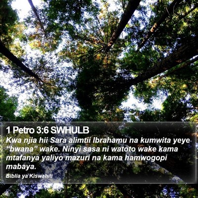 1 Petro 3:6 SWHULB Bible Verse Image