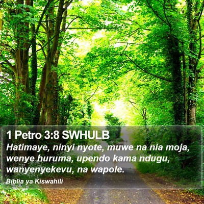 1 Petro 3:8 SWHULB Bible Verse Image