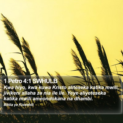 1 Petro 4:1 SWHULB Bible Verse Image