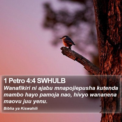 1 Petro 4:4 SWHULB Bible Verse Image