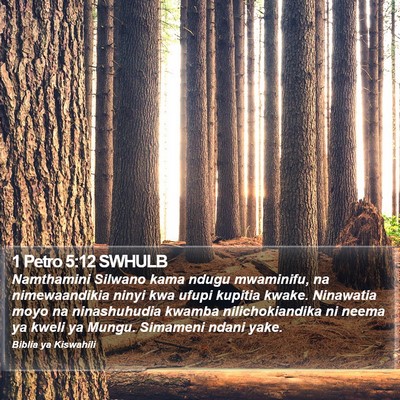 1 Petro 5:12 SWHULB Bible Verse Image