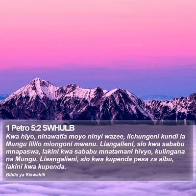 1 Petro 5:2 SWHULB Bible Verse Image