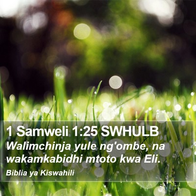 1 Samweli 1:25 SWHULB Bible Verse Image