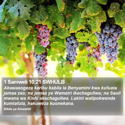1 Samweli 10:21 SWHULB Bible Verse Image