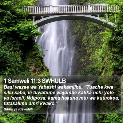 1 Samweli 11:3 SWHULB Bible Verse Image