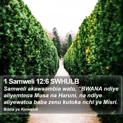 1 Samweli 12:6 SWHULB Bible Verse Image