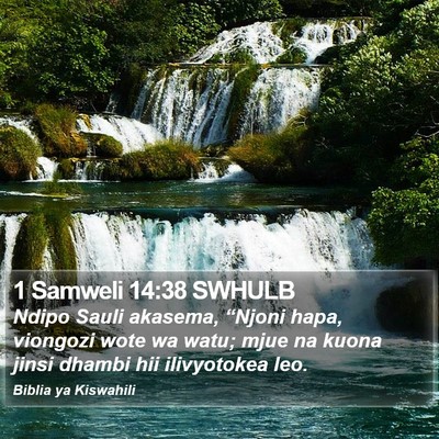 1 Samweli 14:38 SWHULB Bible Verse Image