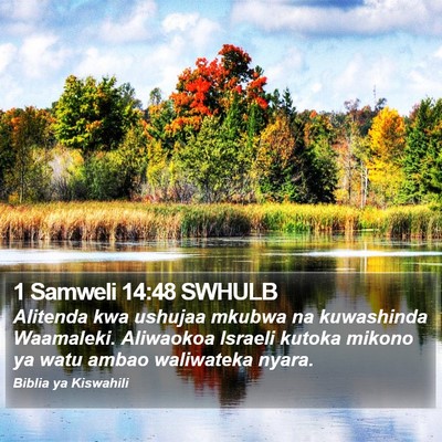 1 Samweli 14:48 SWHULB Bible Verse Image