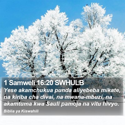 1 Samweli 16:20 SWHULB Bible Verse Image