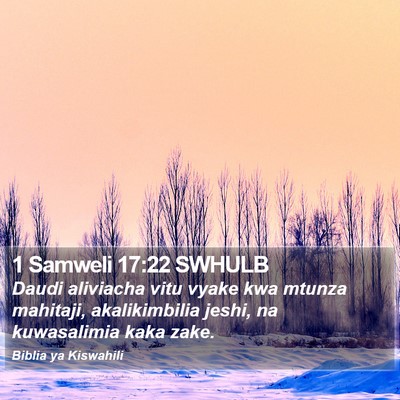 1 Samweli 17:22 SWHULB Bible Verse Image
