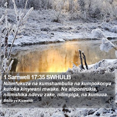 1 Samweli 17:35 SWHULB Bible Verse Image