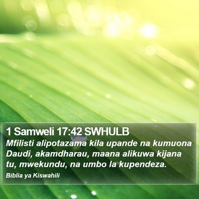 1 Samweli 17:42 SWHULB Bible Verse Image