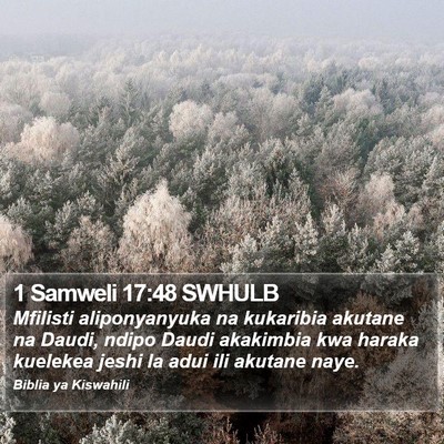 1 Samweli 17:48 SWHULB Bible Verse Image