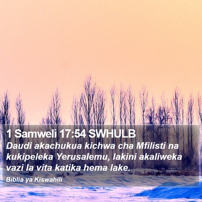 1 Samweli 17:54 SWHULB Bible Verse Image