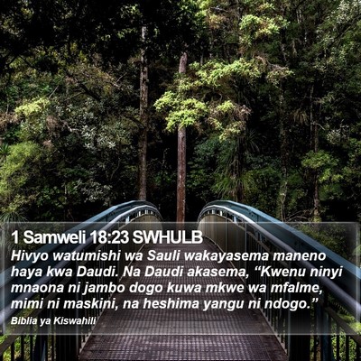 1 Samweli 18:23 SWHULB Bible Verse Image