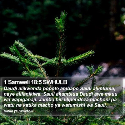 1 Samweli 18:5 SWHULB Bible Verse Image