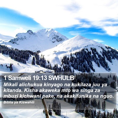 1 Samweli 19:13 SWHULB Bible Verse Image