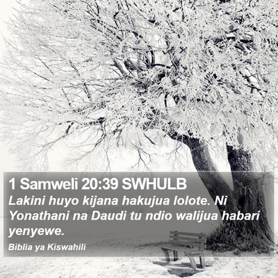 1 Samweli 20:39 SWHULB Bible Verse Image