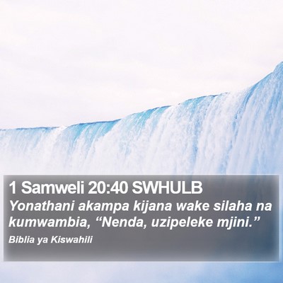 1 Samweli 20:40 SWHULB Bible Verse Image