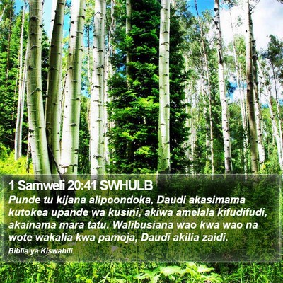 1 Samweli 20:41 SWHULB Bible Verse Image