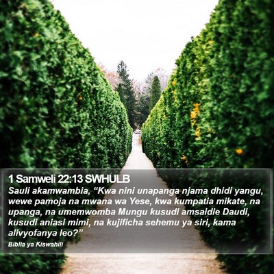 1 Samweli 22:13 SWHULB Bible Verse Image