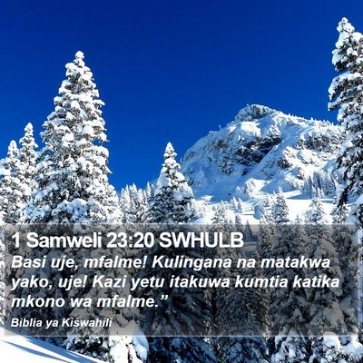 1 Samweli 23:20 SWHULB Bible Verse Image