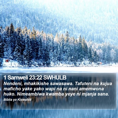 1 Samweli 23:22 SWHULB Bible Verse Image