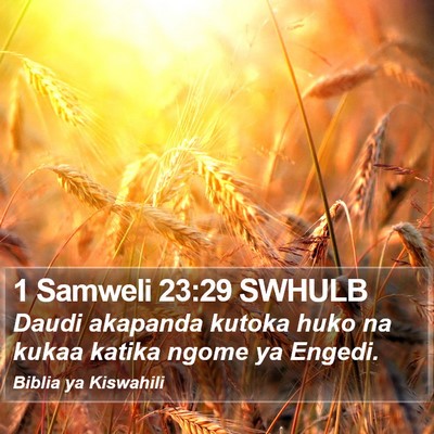 1 Samweli 23:29 SWHULB Bible Verse Image