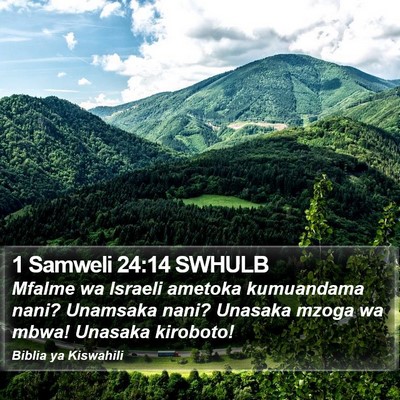 1 Samweli 24:14 SWHULB Bible Verse Image