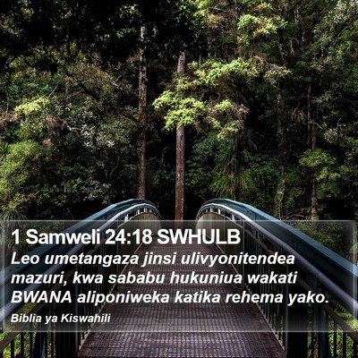 1 Samweli 24:18 SWHULB Bible Verse Image