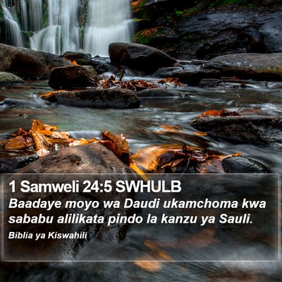 1 Samweli 24:5 SWHULB Bible Verse Image