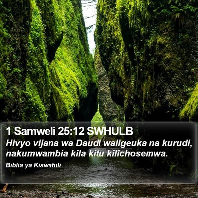 1 Samweli 25:12 SWHULB Bible Verse Image