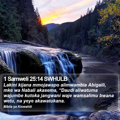 1 Samweli 25:14 SWHULB Bible Verse Image