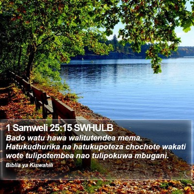 1 Samweli 25:15 SWHULB Bible Verse Image