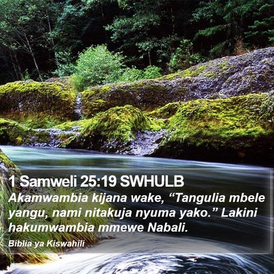 1 Samweli 25:19 SWHULB Bible Verse Image