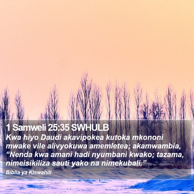 1 Samweli 25:35 SWHULB Bible Verse Image