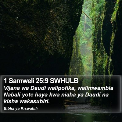 1 Samweli 25:9 SWHULB Bible Verse Image