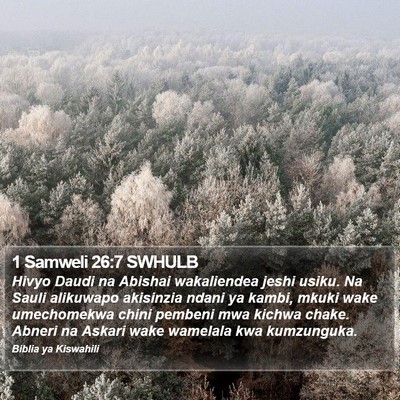 1 Samweli 26:7 SWHULB Bible Verse Image
