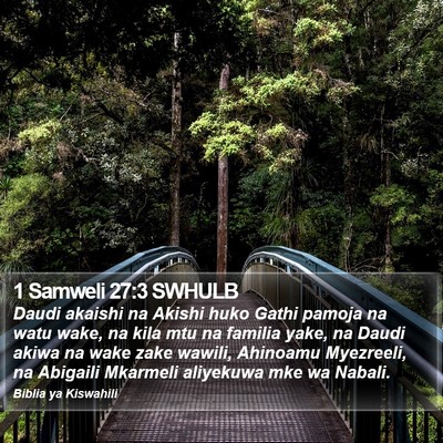 1 Samweli 27:3 SWHULB Bible Verse Image