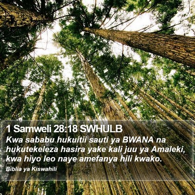 1 Samweli 28:18 SWHULB Bible Verse Image