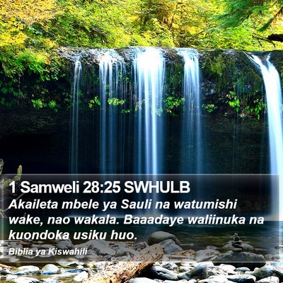1 Samweli 28:25 SWHULB Bible Verse Image