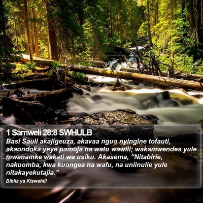 1 Samweli 28:8 SWHULB Bible Verse Image