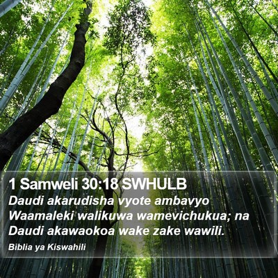 1 Samweli 30:18 SWHULB Bible Verse Image